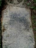 image of grave number 495525